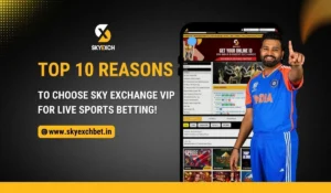 Read more about the article Top 10 Reasons to Choose Sky Exchange VIP for Live Betting